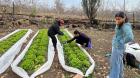 Científicos estudian bioinsumo creado por agricultor con residuos agrícolas