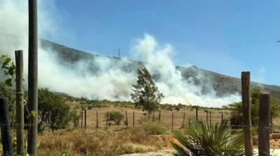 Incendio forestal afectó al sector de Lliu Lliu en Limache