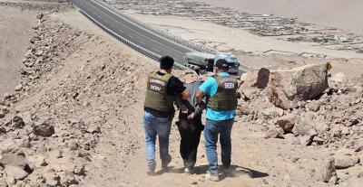 Encuentran vehículo robado en Arica: extranjero intentó huir en sector de la Ruta 5 Norte