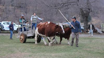 FAO otorga reconocimiento internacional a patrimonios agrícolas de La Araucanía