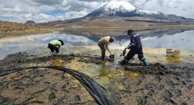 Por derrame de aceite de soya: cierran Parque Nacional Lauca en forma indefinida