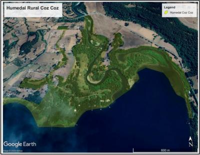 Tribunal Ambiental resolvió anular declaratoria de humedales rurales en Panguipulli
