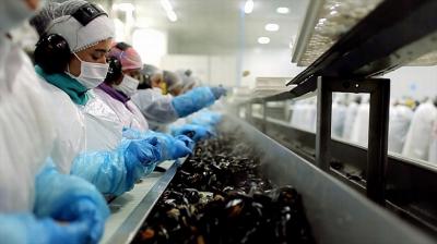 Desempleo se disparó a 6,6% en la Región de Los Lagos