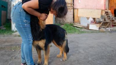 Familias de megatoma en San Antonio rechazan albergue: denuncian que es insuficiente y que no les permiten ingresar con sus mascotas