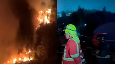 [VIDEO] Valparaíso se mantiene en Alerta Roja por incendio forestal: mensajería SAE llamó a evacuar sector La Isla
