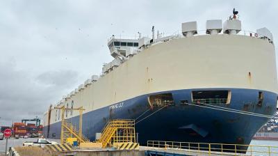 DP World marca un hito histórico con la mayor descarga de vehículos registrada en Chile