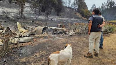 [VIDEO] Incendio forestal en Santo Domingo está contenido: hectáreas consumidas aumenta a 400