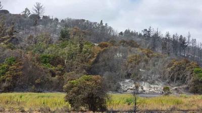 [VIDEO] Controlan incendio forestal en Santo Domingo: 407 hectáreas consumidas y un detenido