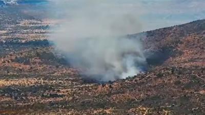 [VIDEO] Incendio forestal está siendo combatido en Fundo San Lucas en Papudo