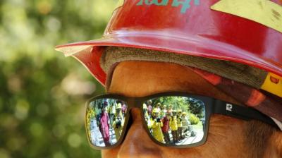 Encapuchados atacaron una brigada forestal en Curanilahue: no hubo lesionados