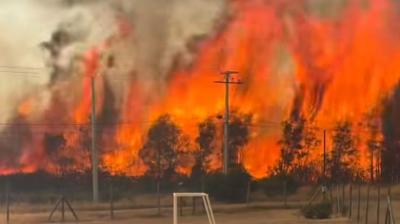 Incendio forestal en Maule ha consumido más de 1.100 hectáreas: hay 4 inmuebles afectados por las llamas