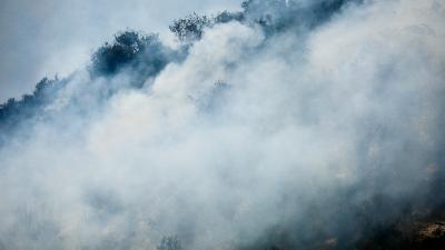 Senapred informó que se registran siete incendios forestales "en combate" a nivel nacional