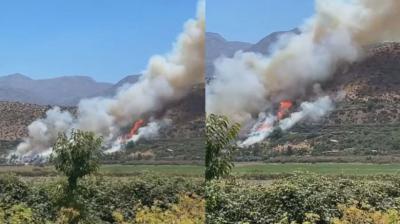 [VIDEO] Alerta roja por incendio forestal en Catemu: piden evacuar y al menos 3 hectáreas afectadas