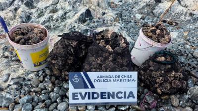 Policía Marítima de Iquique incautó locos en Playa Chauca