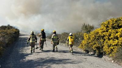 Región de Los Lagos se encuentra en alerta por riesgo de incendios forestales