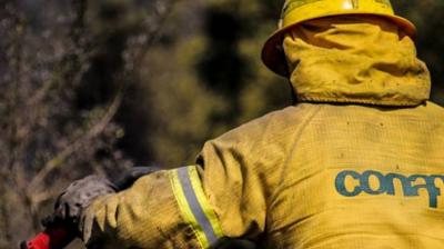 Río Negro llama a reforzar medidas preventivas ante alto riesgo de incendios forestales