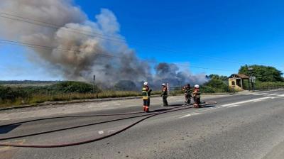 Reportan quema de matorrales en avenida Los Alerces