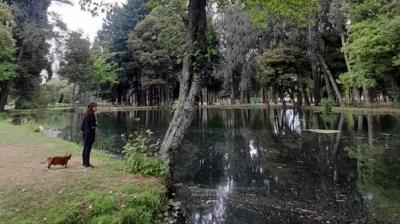 Obtienen RS para el diseño del nuevo Parque Isabel Riquelme de Lautaro