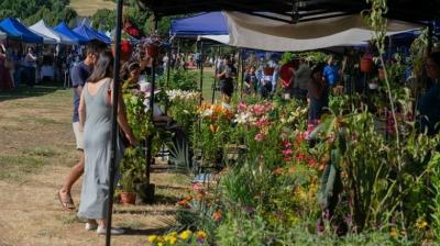 Hasta el domingo Osorno tendrá su expo Jardín y Campo