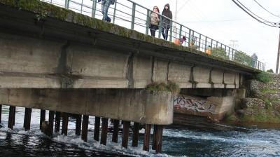 Piden al Serviu priorizar diseño del Puente N°1 Maullín de la ciudad de Llanquihue