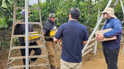 Dirección del Trabajo detectó múltiples infracciones de seguridad en fiscalización a fundo agrícola en Osorno