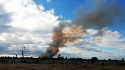 Incendio forestal en el sector El Tepual de Puerto Montt movilizó a bomberos y Conaf
