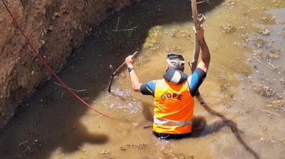 Carabineros suma drones y canes para la búsqueda de joven extraviado en El Carmen