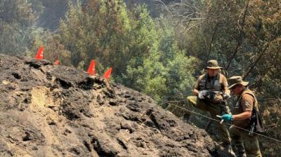 Peritos del Labocar Ñuble investigan origen de incendio forestal en Ránquil