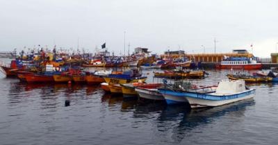 Corte de Copiapó deja a firme expulsión de socia y tesorera de sindicato de pescadores