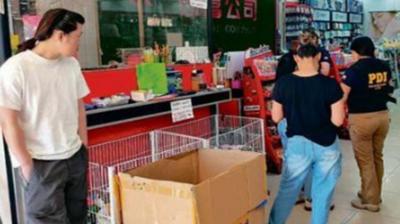 Operativo PDI: detectan migrantes ilegales y notifican una expulsión