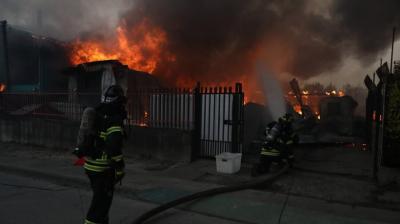 Fiscalía del Ñuble indaga hipótesis de negligencia en origen de incendios forestales