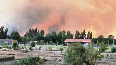 Saldo de 15 lesionados y 67 albergados registra Ñuble a causa de los incendios
