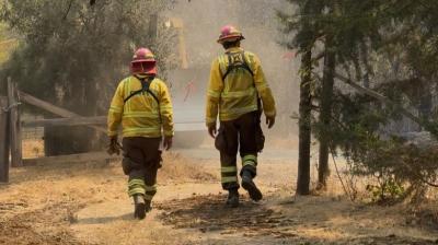 MOP refuerza apoyo a Conaf con más de 20 km de cortafuegos