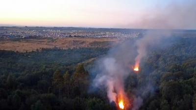 Tres focos tuvo incendio forestal en el Parque Vivero Alerce: fue contenido esta madrugada