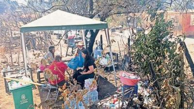 En Quillón cuantifican daño de 600 hectáreas productivas para viñedos