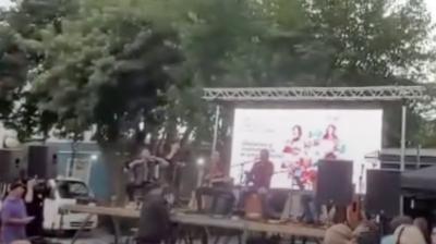 Rayo cayó sobre palmera en medio de presentación de Daniel Muñoz en Quilpué: "Ese pasó cerca"