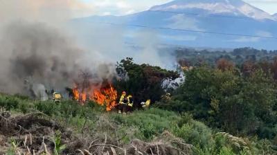 Nuevo incendio forestal se registró en el acceso norte a Puerto Montt