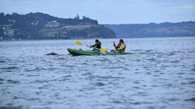 Quinchao: Travesía de natación entre Llingua y Achao fue destacada por su éxito y proyección futura