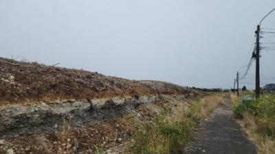 Avanzan en la construcción de cortafuegos preventivos en Puerto Montt