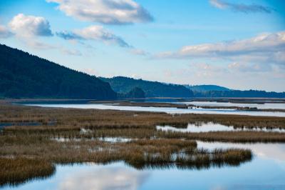 Desde este fin de semana: actividades deportivas, científicas, medioambientales, culturales y comunitarias darán inicio a la Semana de los Humedales en Valdivia