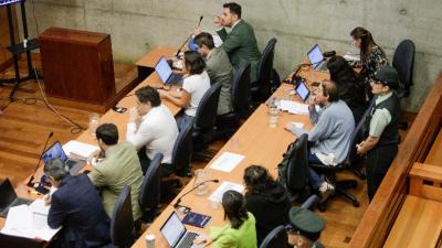 Caso ProCultura: Rechazan imponer prisión preventiva a Alberto Larraín