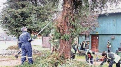 Lluvias de hasta 70 mm y riesgo de remociones activan acción preventiva en Ñuble
