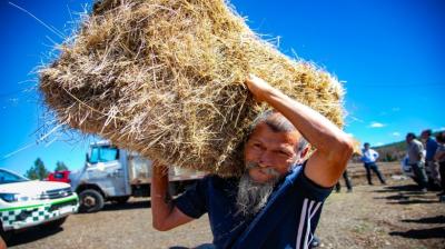 Municipio de Temuco y privados llevan alimento y útiles de primera necesidad a familias rurales tras incendios en sector Boyeco