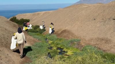 Más de 700 kilos de basura quedaron al descubierto en humedal La Chimba Norte de Antofagasta