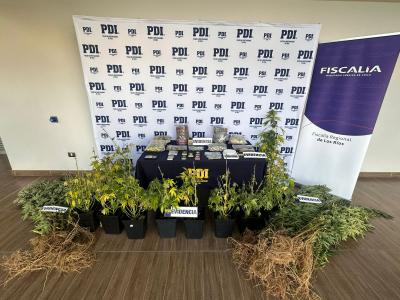 Fiscalía y PDI detuvieron a mujer e incautaron más de 3,7 kilos de droga en Valdivia