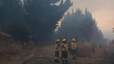 SENAPRED declara Alerta Roja en Limache por incendio forestal cercano a zonas habitadas