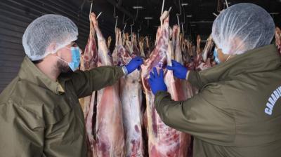 Ñuble: Decomisan 4 toneladas de ganado ovino y porcino sin documentación obligatoria