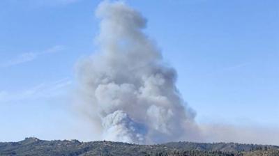 Limache: incendio forestal en combate ha afectado 140 hectáreas y mantiene baja intensidad