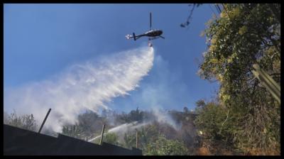 Senapred declara alerta roja en Melipilla por incendio forestal: Solicitaron evacuar sectores de la zona