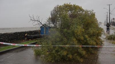 SENAPRED declara Alerta Temprana Preventiva en el Biobío ante nuevo evento meteorológico